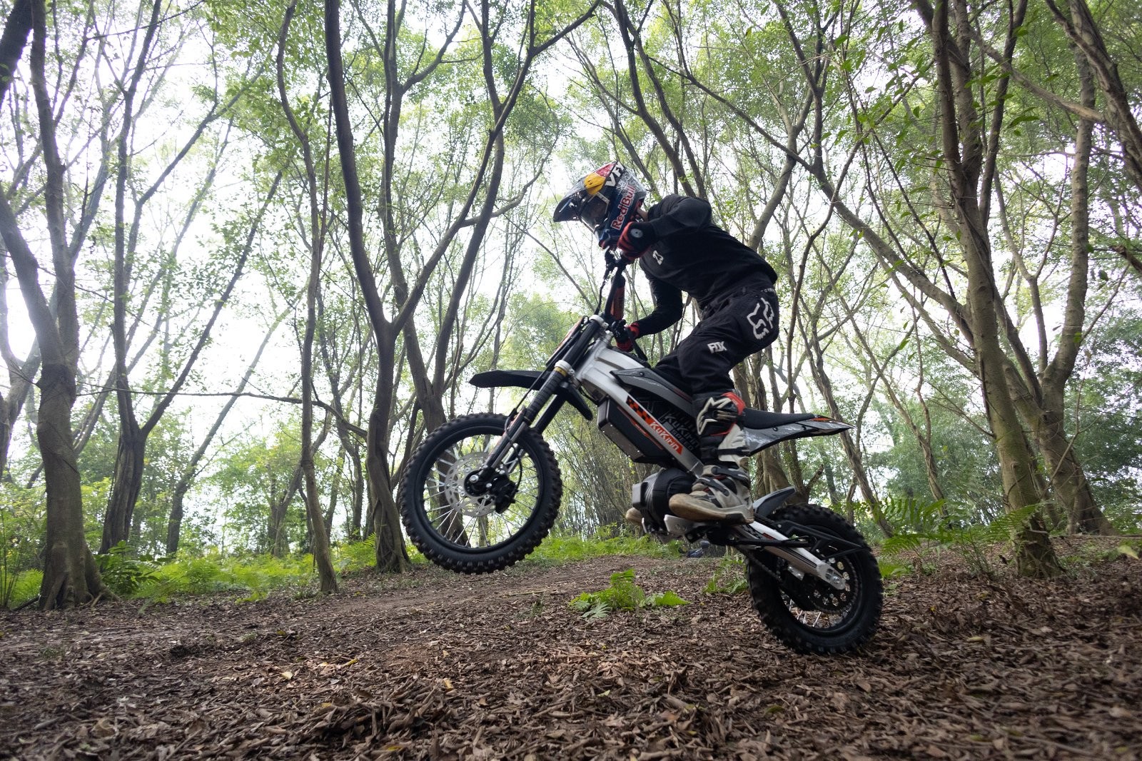 Fashion For Beginners